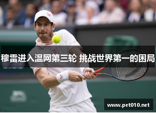 穆雷进入温网第三轮 挑战世界第一的困局