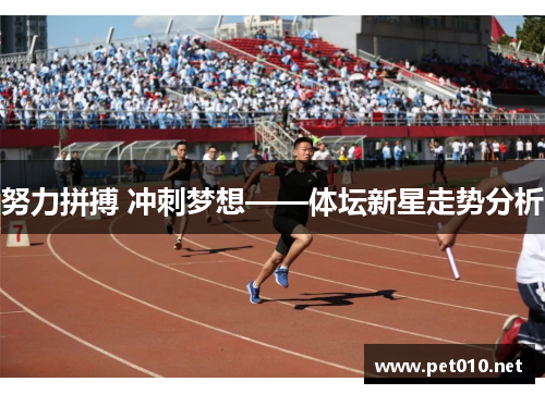 努力拼搏 冲刺梦想——体坛新星走势分析
