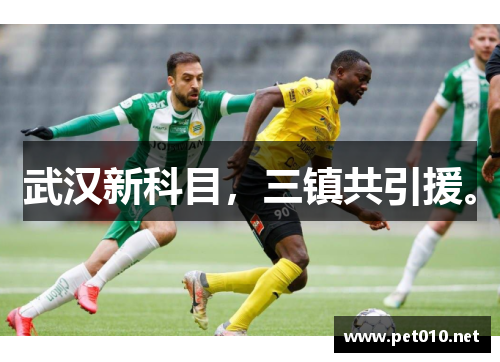 武汉新科目，三镇共引援。